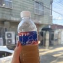 (주)원진비씨디 | 한소루 붐붐 내돈내산후기 레드와 블루 맛비교 추천까지