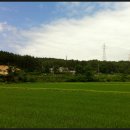 장덕1리 Daum카페