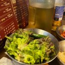 세븐일레븐 대전용문스타점 | 대전 괴정동 맛집 마적단 롯데백화점 성심당 근처 구워주는 고깃집