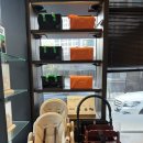 금호한우농장 이미지