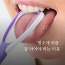 "매일 양치를 3번씩 꼼꼼히 하는데 왜 입 냄새가 날까요?"＜ 혀 클리너로 올바르게 혀 닦는 요령 ＞ 이미지