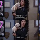 안녕하세요 이미지