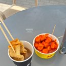 세븐일레븐 정선사북점 | 강원도 정선 1박 2일 여행 / 도롱이 연못, 민둥산, 자연품은 힐링 여행