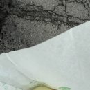 정가왕만두 이미지