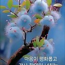 애틋한 사랑 이야기 이미지