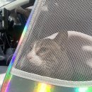 스타동물병원 이미지