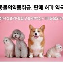 둔산대형약국 이미지