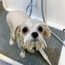 그레이닝 킨더가든 이미지