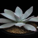 경석농장 이미지