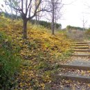 아름다운쉼터 이미지