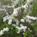 모듬내길 이미지