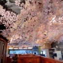 카츠랑 | 평택아트센터 맛집, 이자카야 춘에서 로스카츠랑 크림생맥주 후기