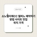 소노펠리체 델피노 이미지