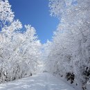 지리산온천랜드 티스토리