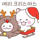 애견호텔 "중독" 이미지