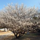 UN기념공원 좌측 이미지