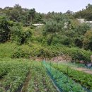 고동영공인중개사사무소 이미지