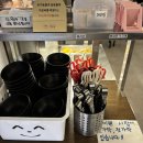 마포-현장-마포-1427 | [맛집] 타오마라탕 홍대점 후기 | 홍대 마라탕 마라샹궈 위미라 | 내돈내산 또또또간집 추천