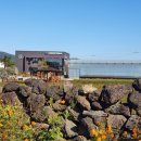 영농조합법인 그린제주 이미지