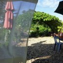 여름농장 이미지