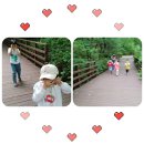 정암유치원 이미지