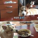 리큐르도 위스키처럼 섞어마셔도 맛있니? 아님 단독으로? 이미지