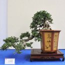 중화고등학교 이미지