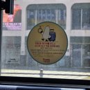 캐리버스 | 전국 최초! 부산 시내버스 캐리어 반입 시범운영 (85번 캐리버스 탑승 후기)