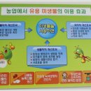 홍천군 농업기술센터 동부지소 이미지