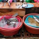 통영중앙전통시장 이미지