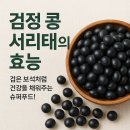 검정 이미지