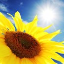 대림아파트 단지 내 이미지