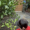 스테이여린 이미지