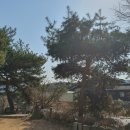 도척면-2 이미지