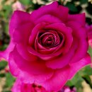 김원삼행정사사무실 이미지