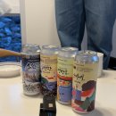 라울도비민박