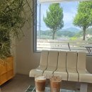 74 | [영주] 랜드컴포트 | 부석사 드라이브코스 감성 카페 후기