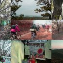 영흥도관광펜션