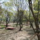 금은모래 캠핑장 이미지