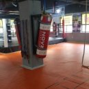 변교선 대전복싱클럽 이미지