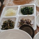 어울림 민박 | [경기도 양평군] 양평계곡 민우네민박 백숙후기 /내돈내산