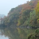 관란정觀瀾亭 이미지