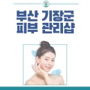 부산 기장 여드름 피부관리실, 가격부터 후기까지!