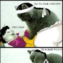마님 이미지