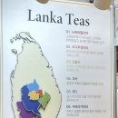 (사)푸른차문화연구원 | 2026 제23회 국제차문화대전 방문 및 시음 후기