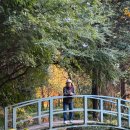 남해섬 | 남해 섬이정원 솔직후기 (노을 + 정원 조합 미쳤다)