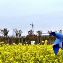 강서체육공원 이미지