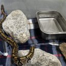 국립공원공단 국립공원야생생물보전원 북부보전센터 이미지