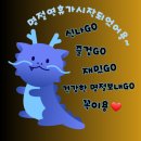 캔바로 카드뉴스 만들기 이미지