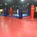 태백체육관 이미지